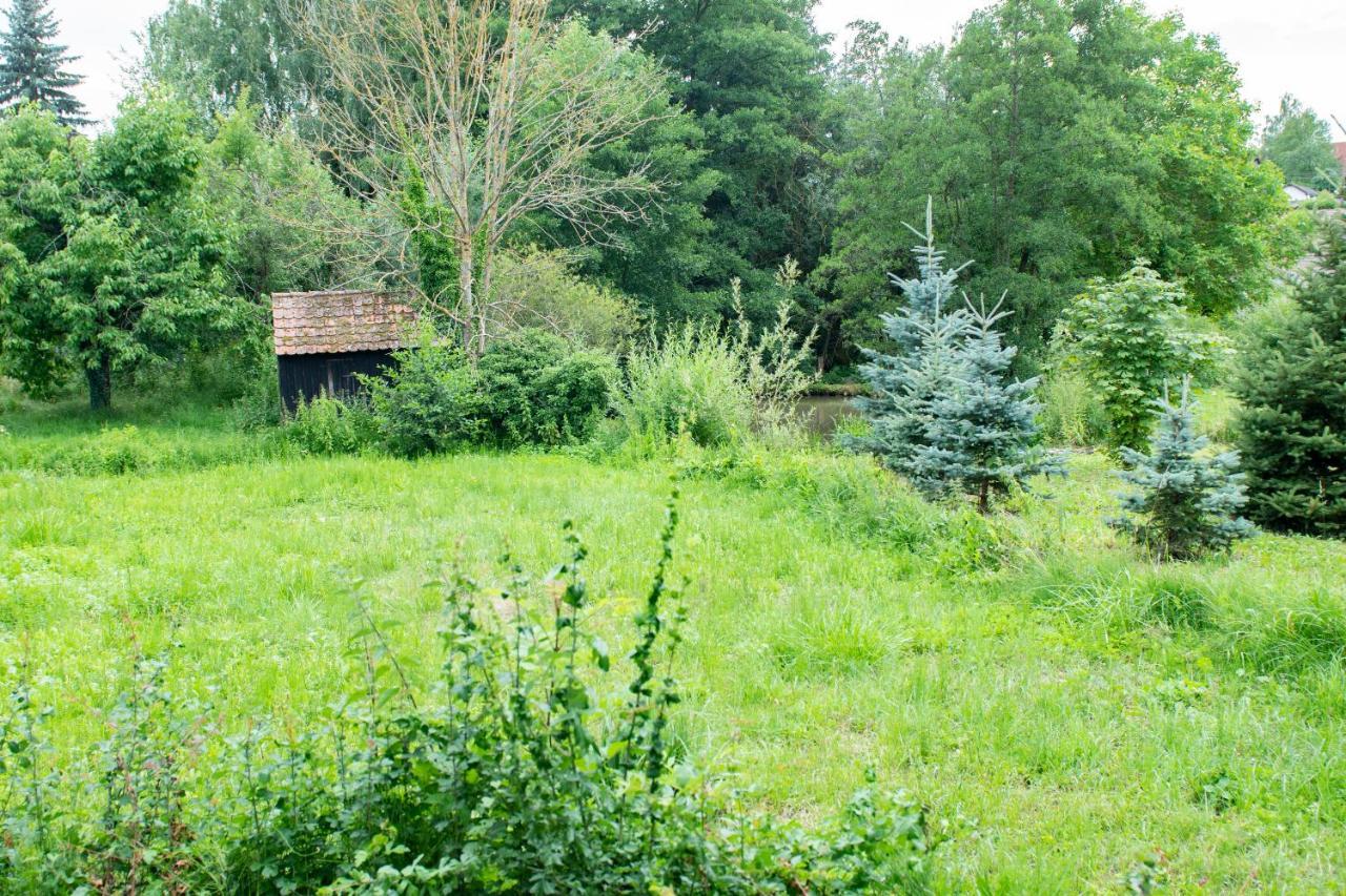 Ferienwohnung Auf Ehemaligen Bauernhof In Der Naehe Von Bamberg Walsdorf  Εξωτερικό φωτογραφία
